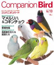 companionbird