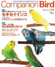 companionbird