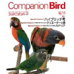 companionbird